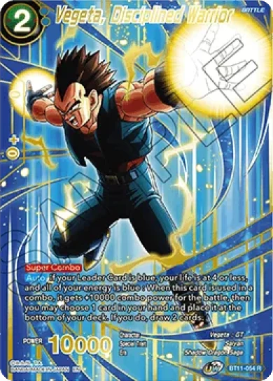 VEGETA, DISCIPLINED WARRIOR