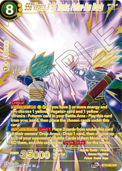 SSB VEGETA & SS TRUNKS, FATHER-SON BONDS