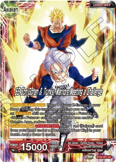SS SON GOHAN & TRUNKS, WARRIORS MEETING A CHALLENGE