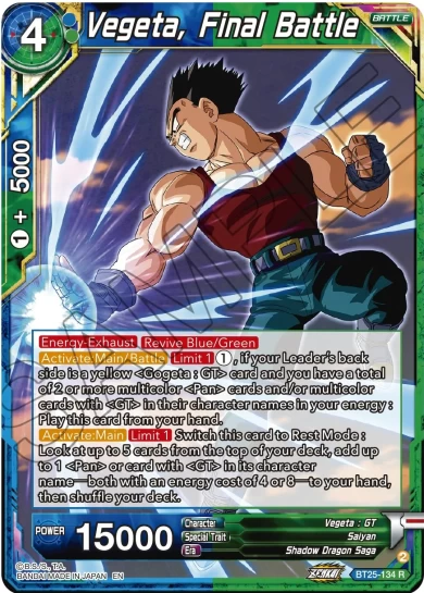 VEGETA, FINAL BATTLE