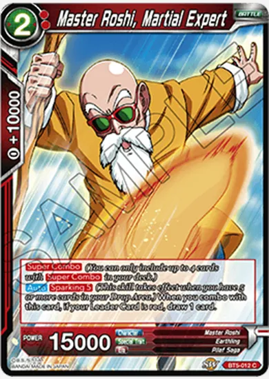 MASTER ROSHI, MARTIAL EXPERT